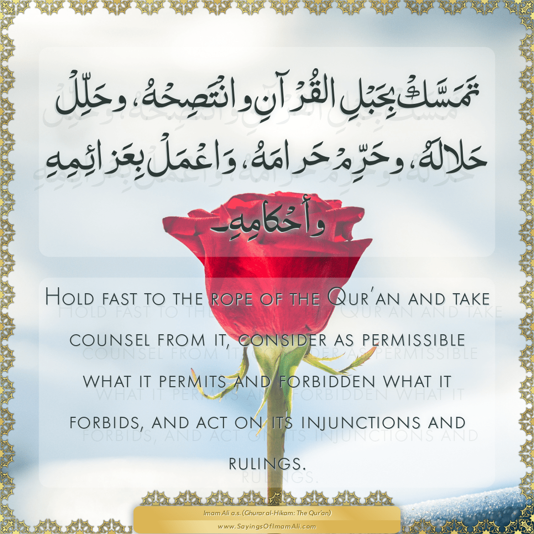 Hold fast to the rope of the Qur’an and take counsel from it, consider...
